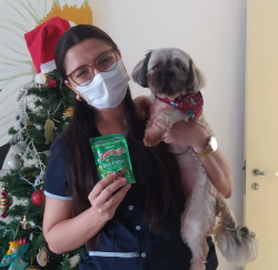 Mayara preparando para aplicar vacina